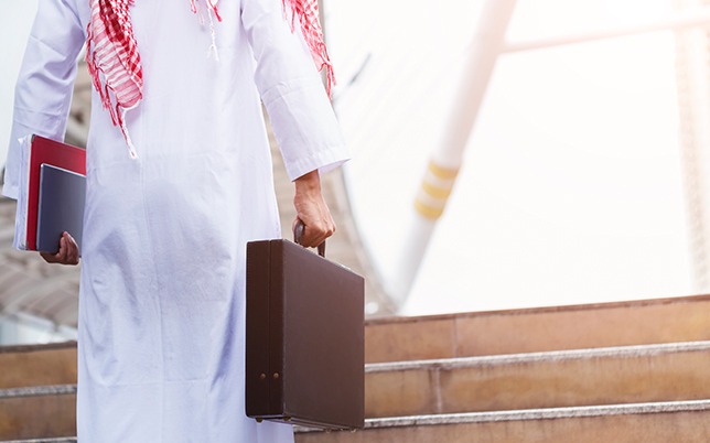 إعادة هيكلة المؤسسات وتحديث السياسات والإجراءات