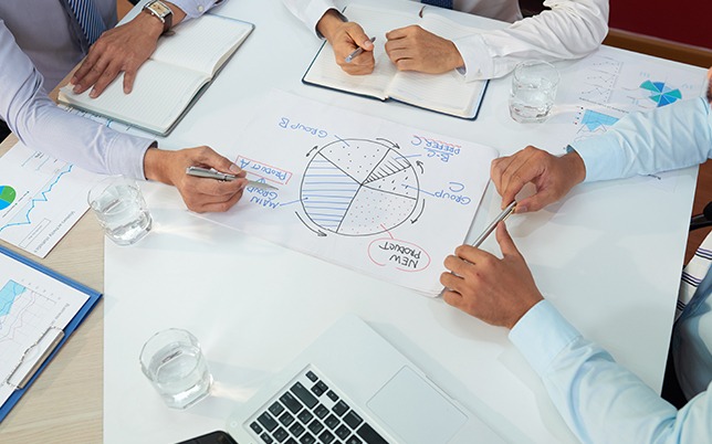 استشارات إدارة المشاريع و البرامج